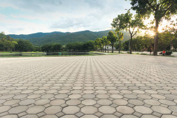 Professional Driveway Pavers in Marshfield, WI